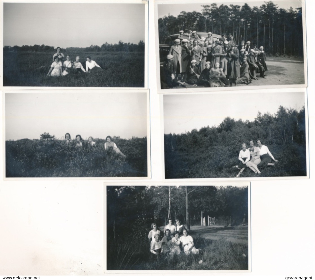 KALMTHOUT  HEIDE 11/9/35.  5 FOTO'S 11 X 7 CM