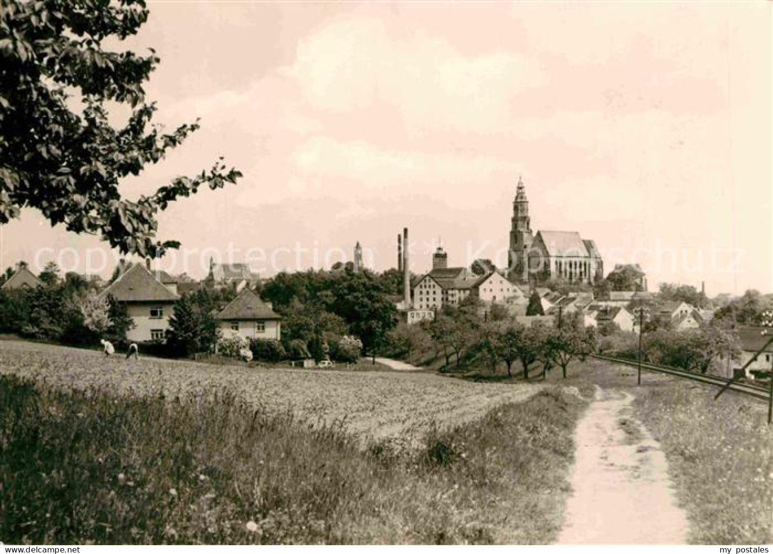 Kamenz Sachsen