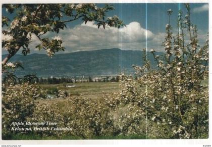 AK 263069 CANADA - Kelowna - Apple Blossom Time