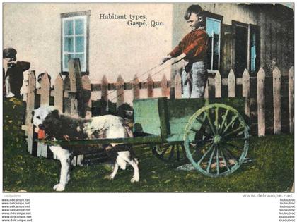 GASPE HABITANT TYPES GASPE QUE ATTELAGE DE CHIEN VOYAGEE TIMBREE