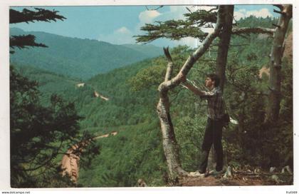 AK 254407 CANADA - Percé - La Gaspésie