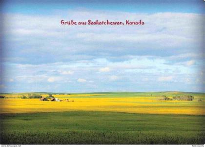 Saskatchewan Canada Panorama