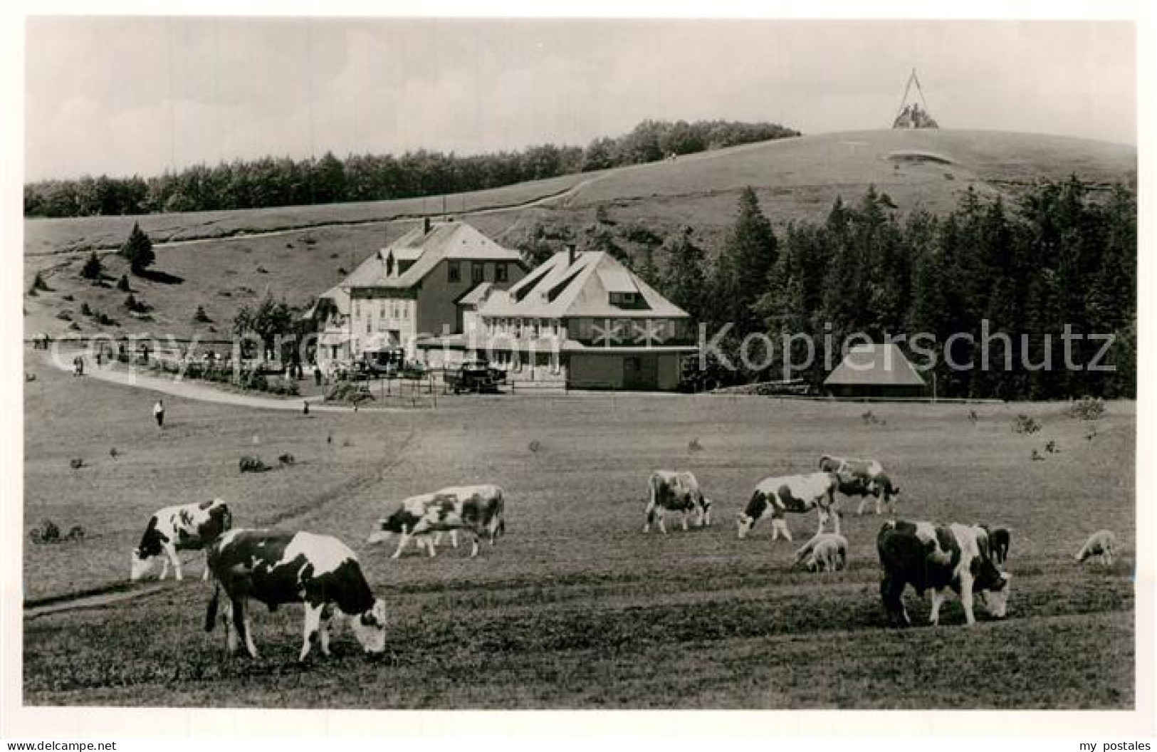 Kandel Breisgau Kandel Haus Kuhweide