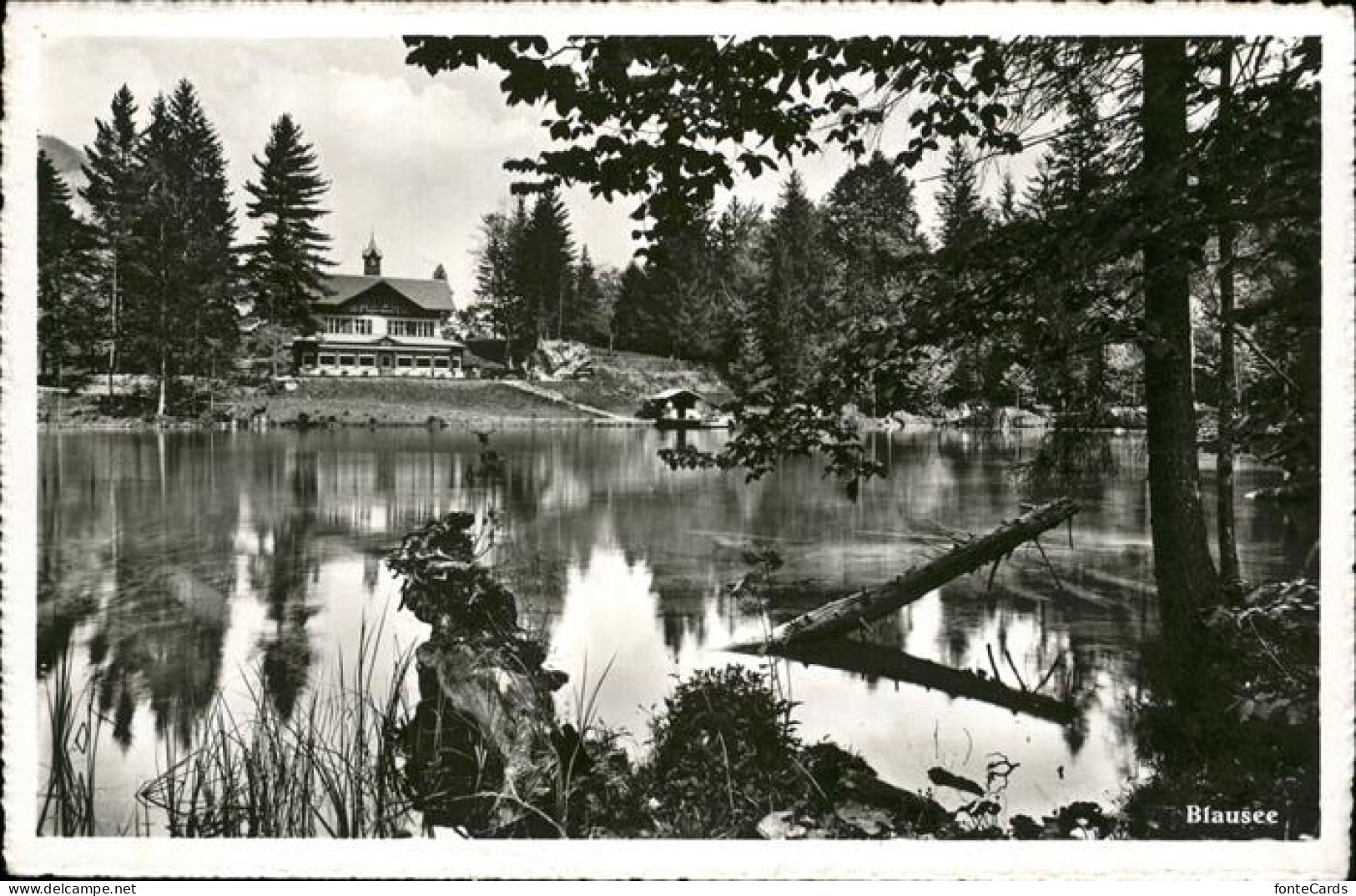 Kandergrund Partie am Blausee Bergsee