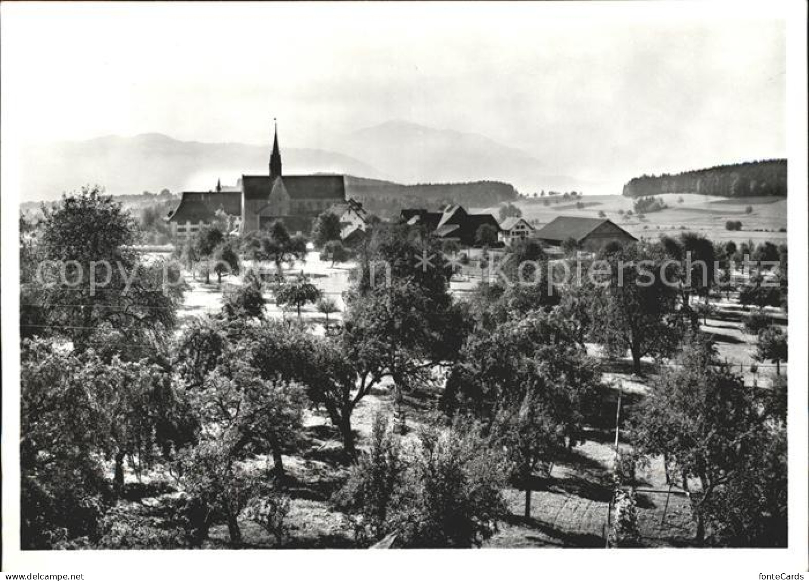 Kappel Albis Aussicht a.d. Naefenhaus