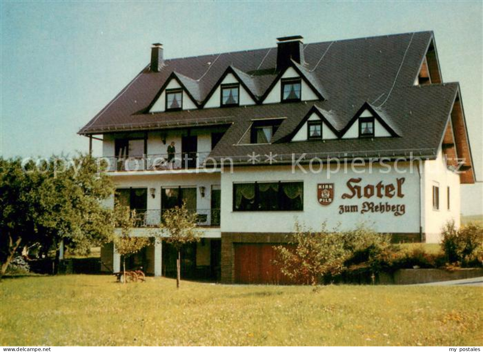 Kastellaun Hunsrueck Hotel Zum Rehberg Aussenansicht