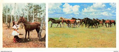 herd in the steppe - horse - 1976 - Kazakhstan USSR - unused