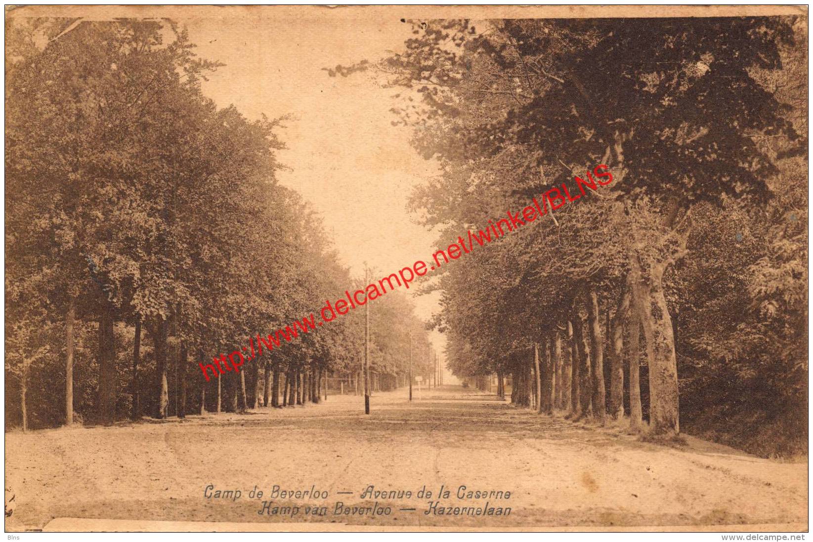 Kazernelaan - Kamp van Beverloo - Leopoldsburg (Kamp van Beverloo)