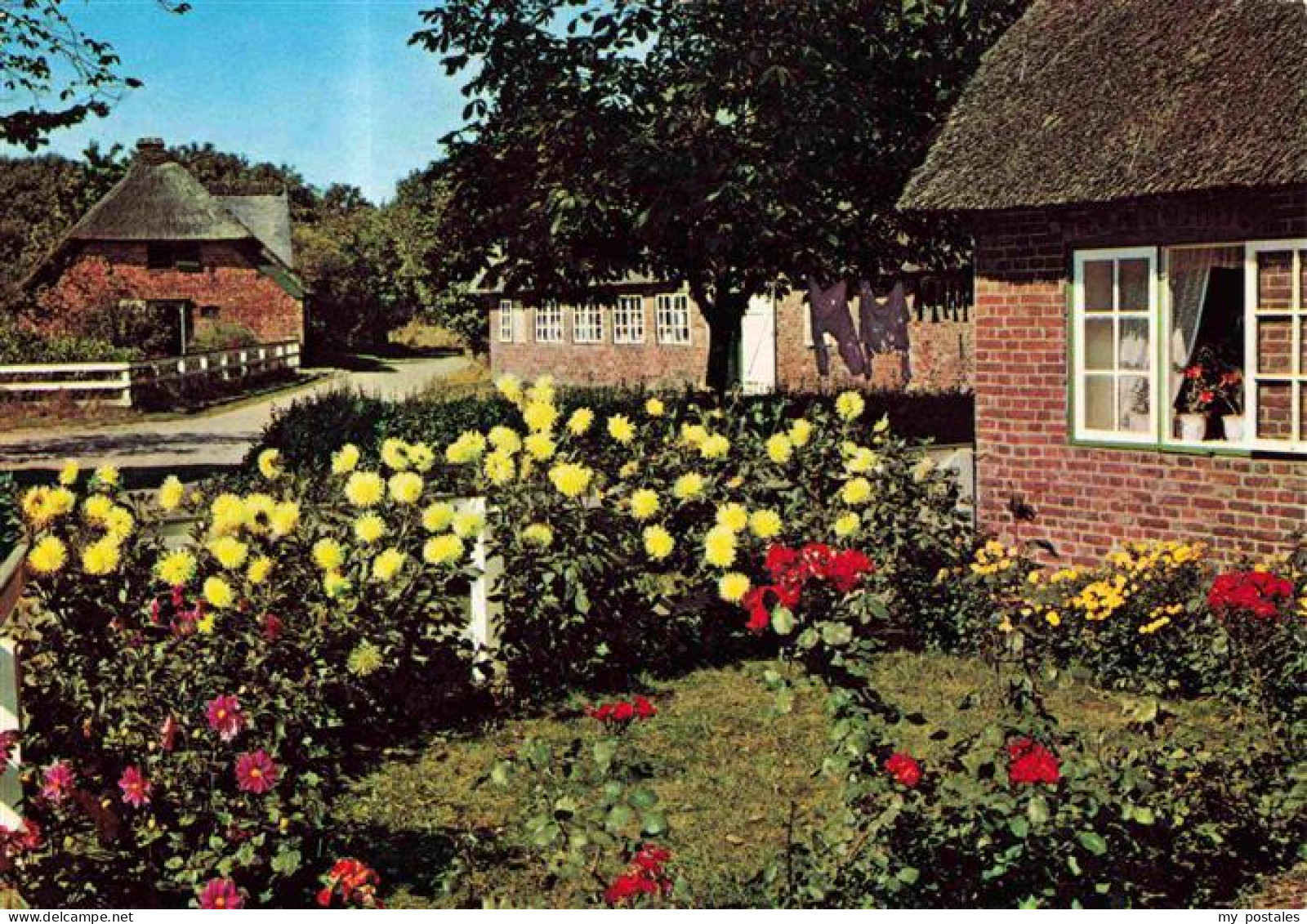 Keitum Sylt Ferienhaeuser