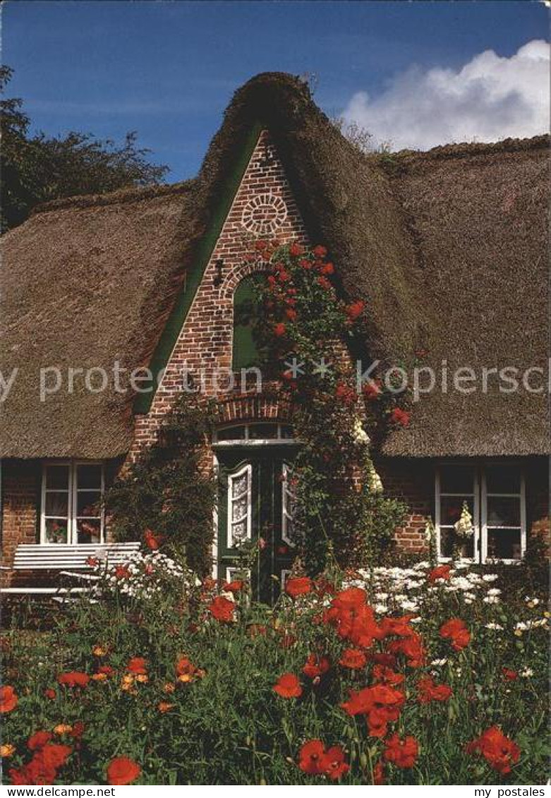 Keitum Sylt Friesenhaus