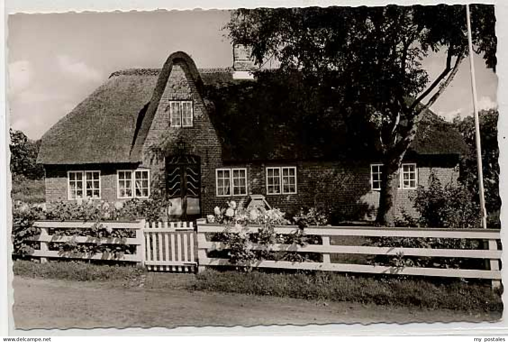 Keitum Sylt Insel Sylt Keitum