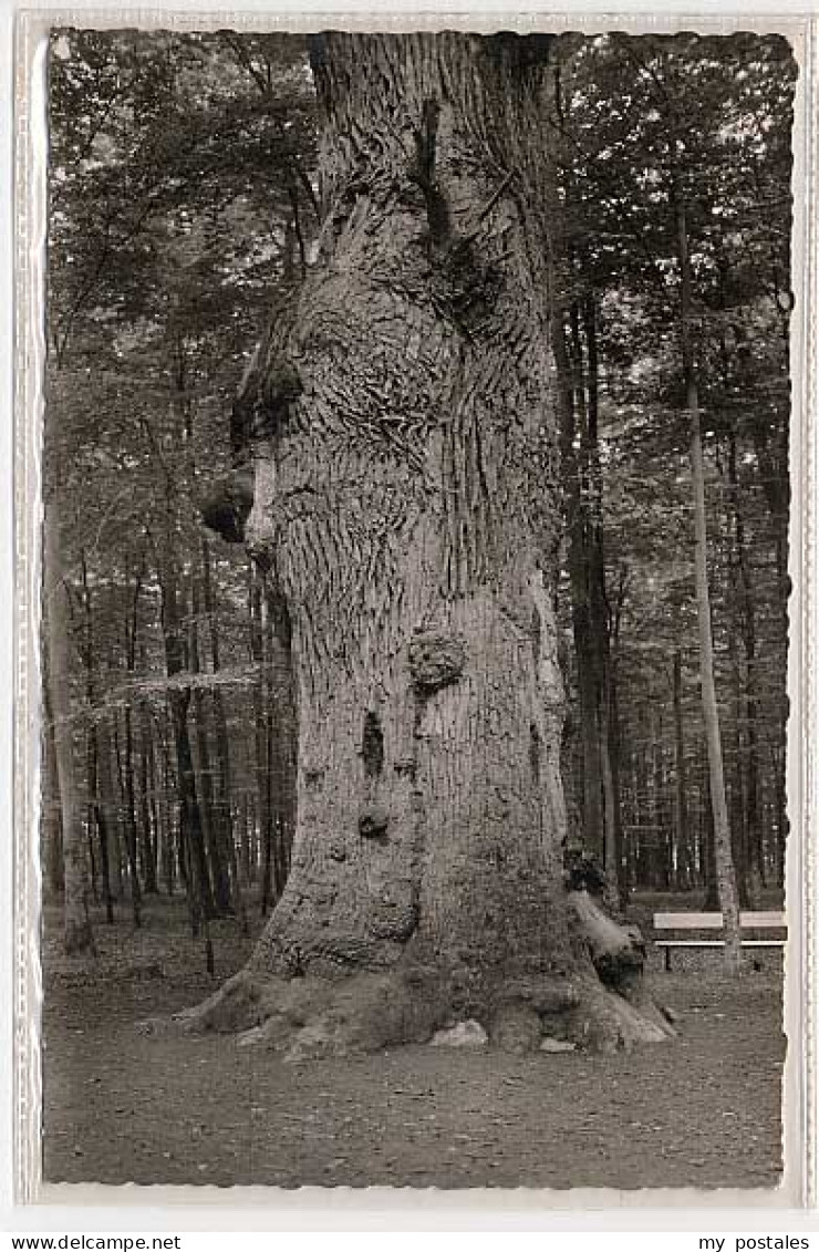 Kellenhusen Ostseebad Kellenhusen