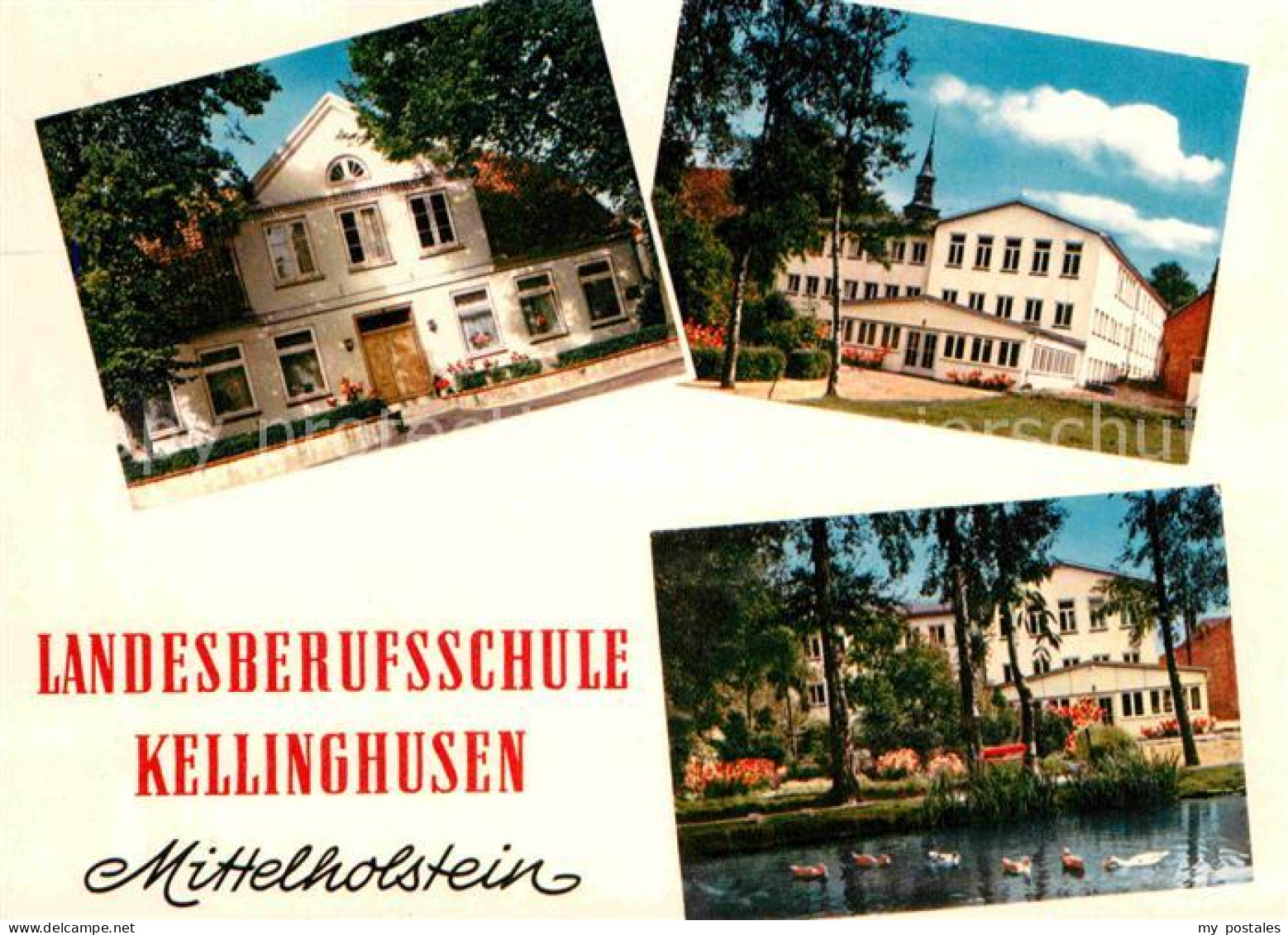 Kellinghusen Landesberufsschule