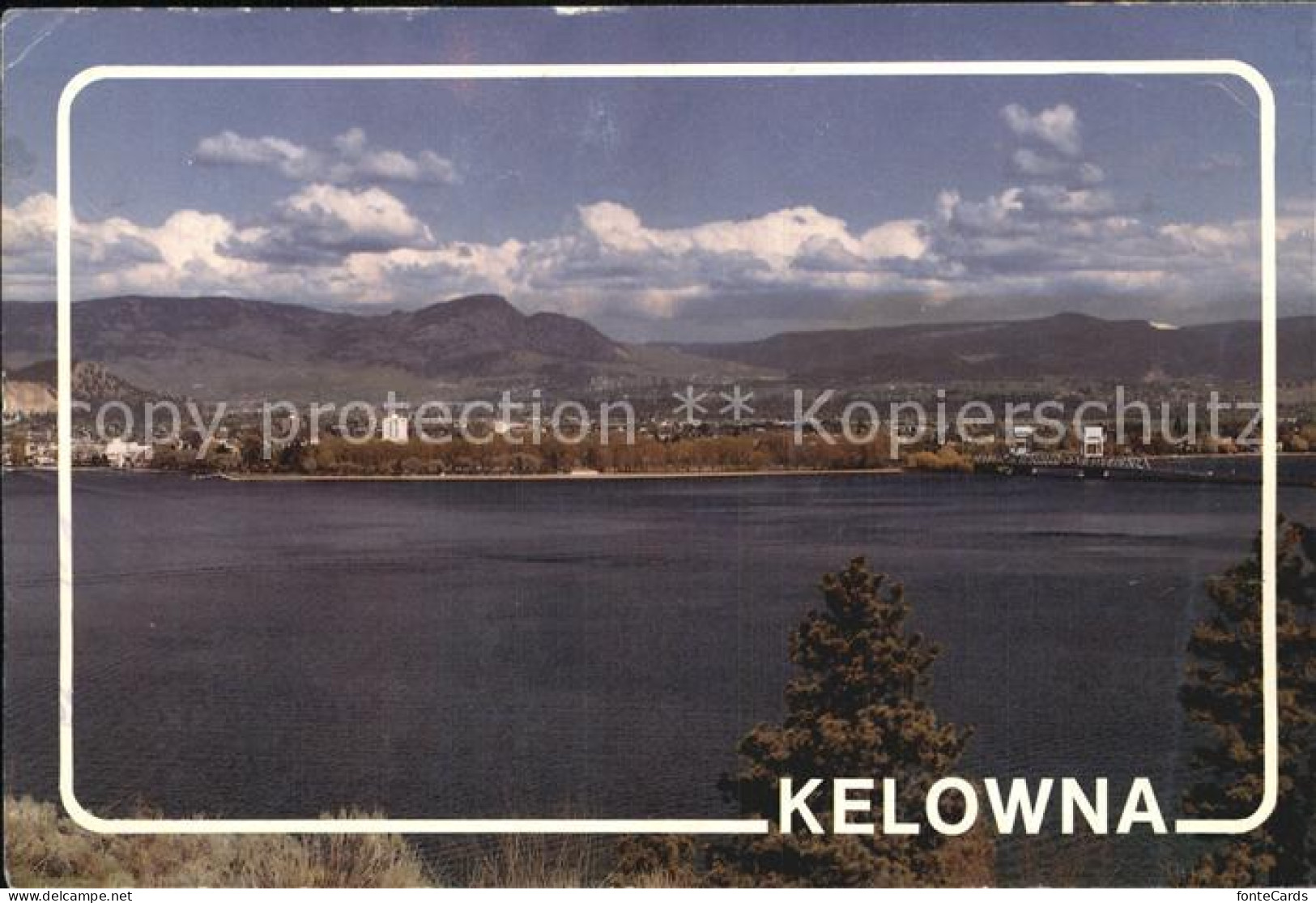 Kelowna the Indian word meaning Grizzly Bear