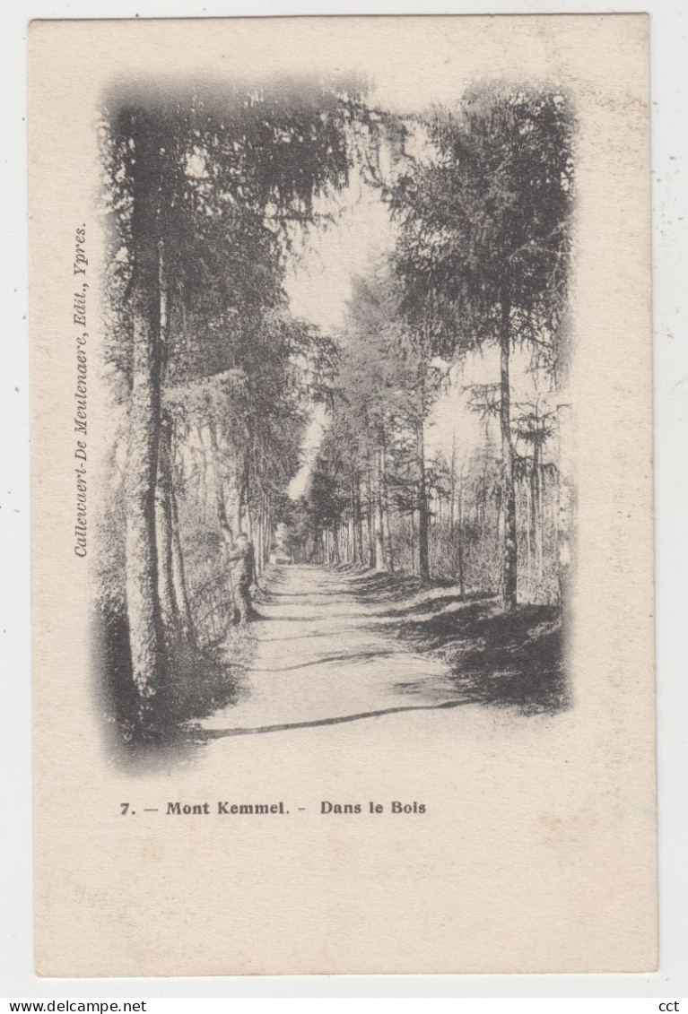 Kemmel  Heuvelland   Mont Kemmel   Dans le bois