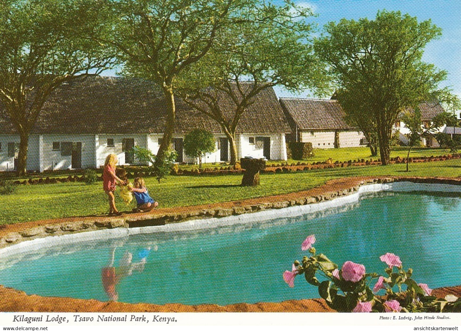 Kenia, Tsavo National Park, Kilaguni Lodge ngl #E4464