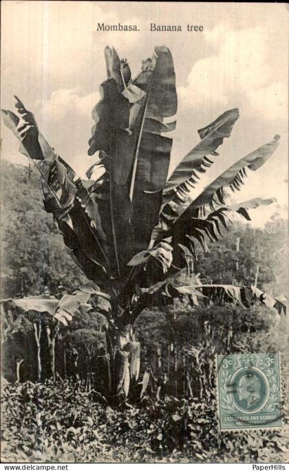 Afrika Africa - Kenya Kenia - Mombasa