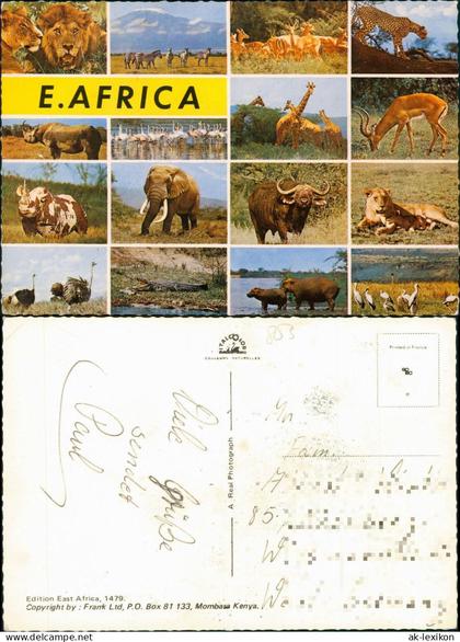 Postcard _Allgemein Mehrbild Tiere Eastafrica Ostafrika 1988