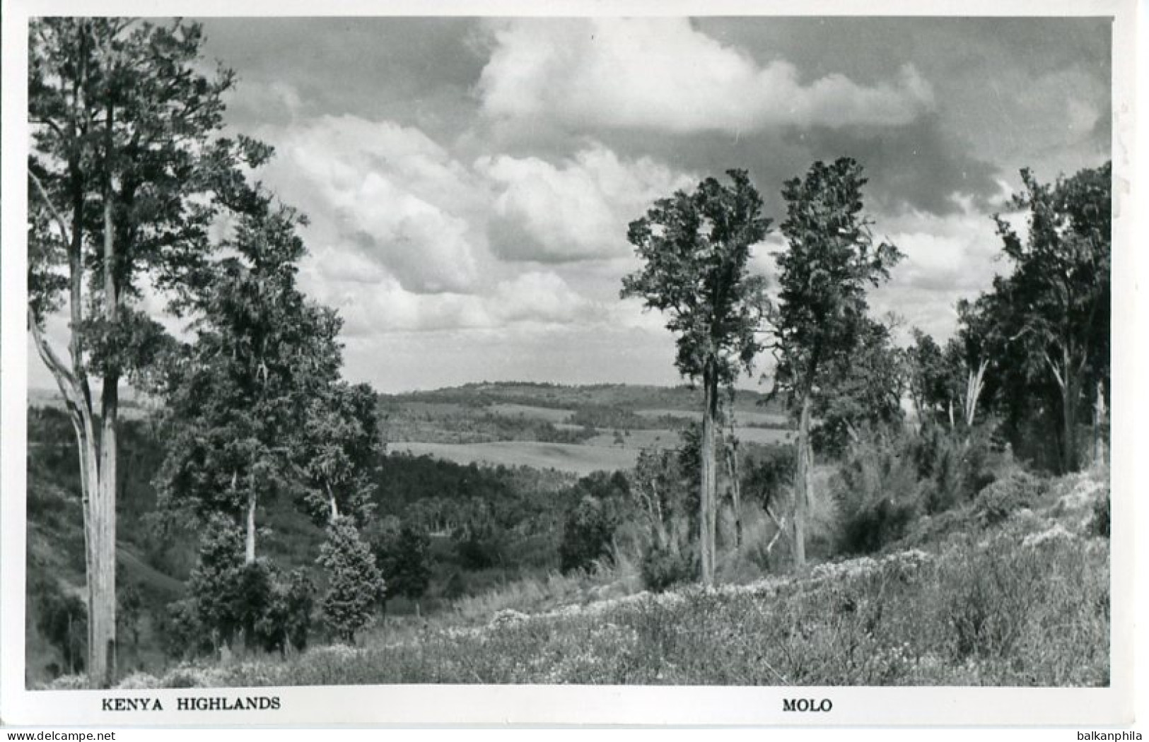 Kenya Highlands Molo photocard