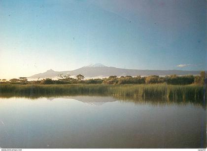 CPM Kilimanjaro Lambo Kenya