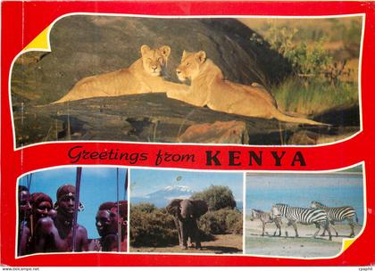 CPM Popular Kenya scenes Kenya Lion Zebre Zebra