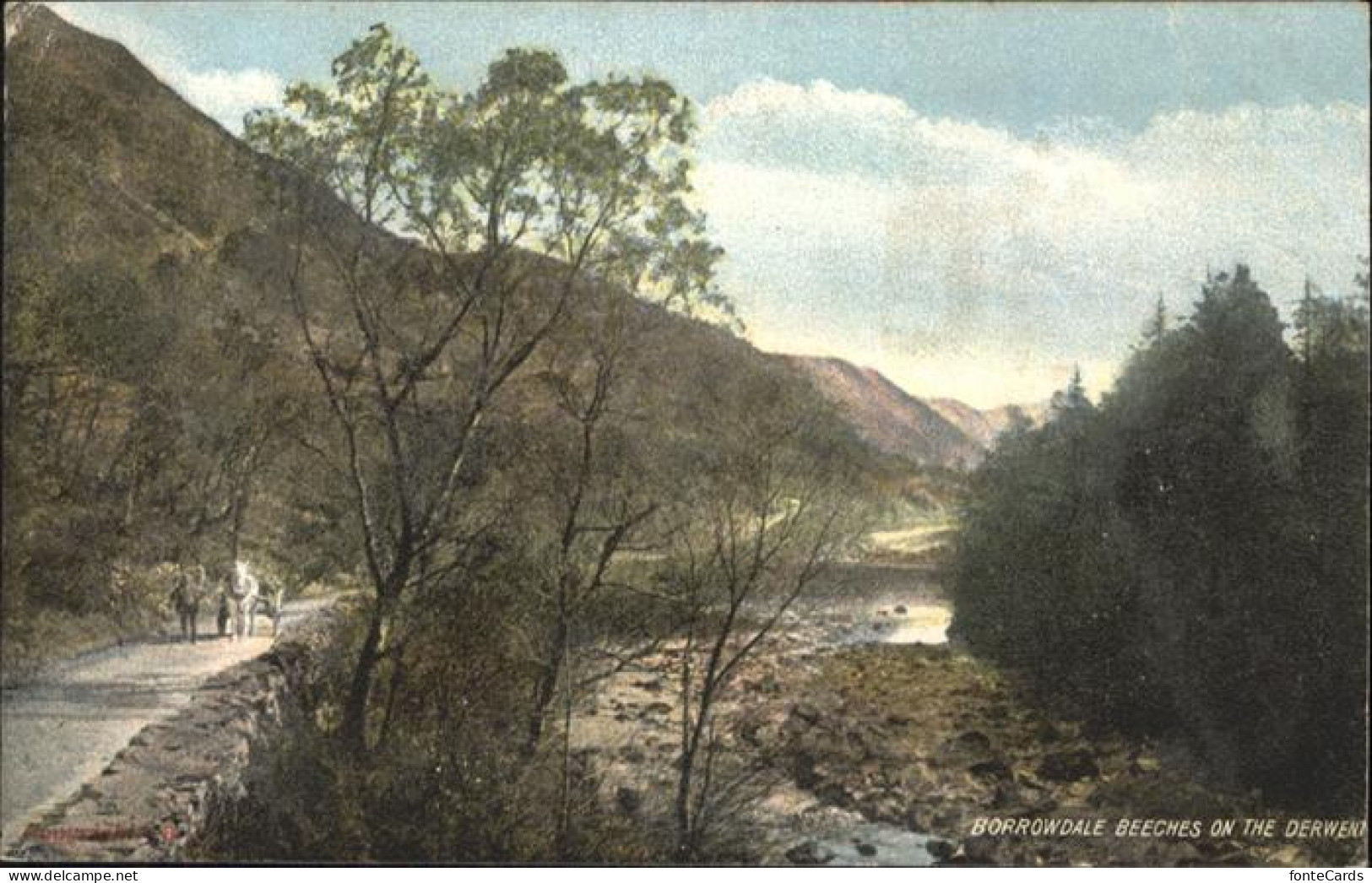 Keswick Borrowdale Beeches
Derwent