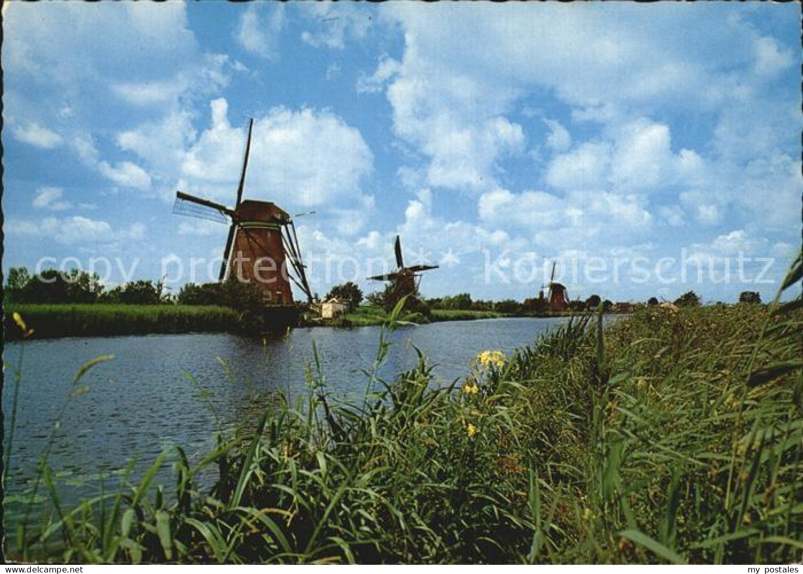 Kinderdijk Dutch Windmill Hollandse Molen