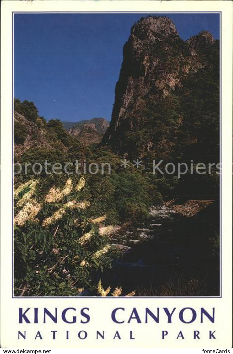 Kings Canyon National Pk Kings River Rocky