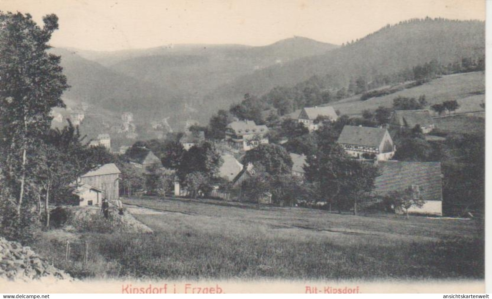 Kipsdorf Panorama von Alt-Kipsdorf bahnpgl1908 #86.796