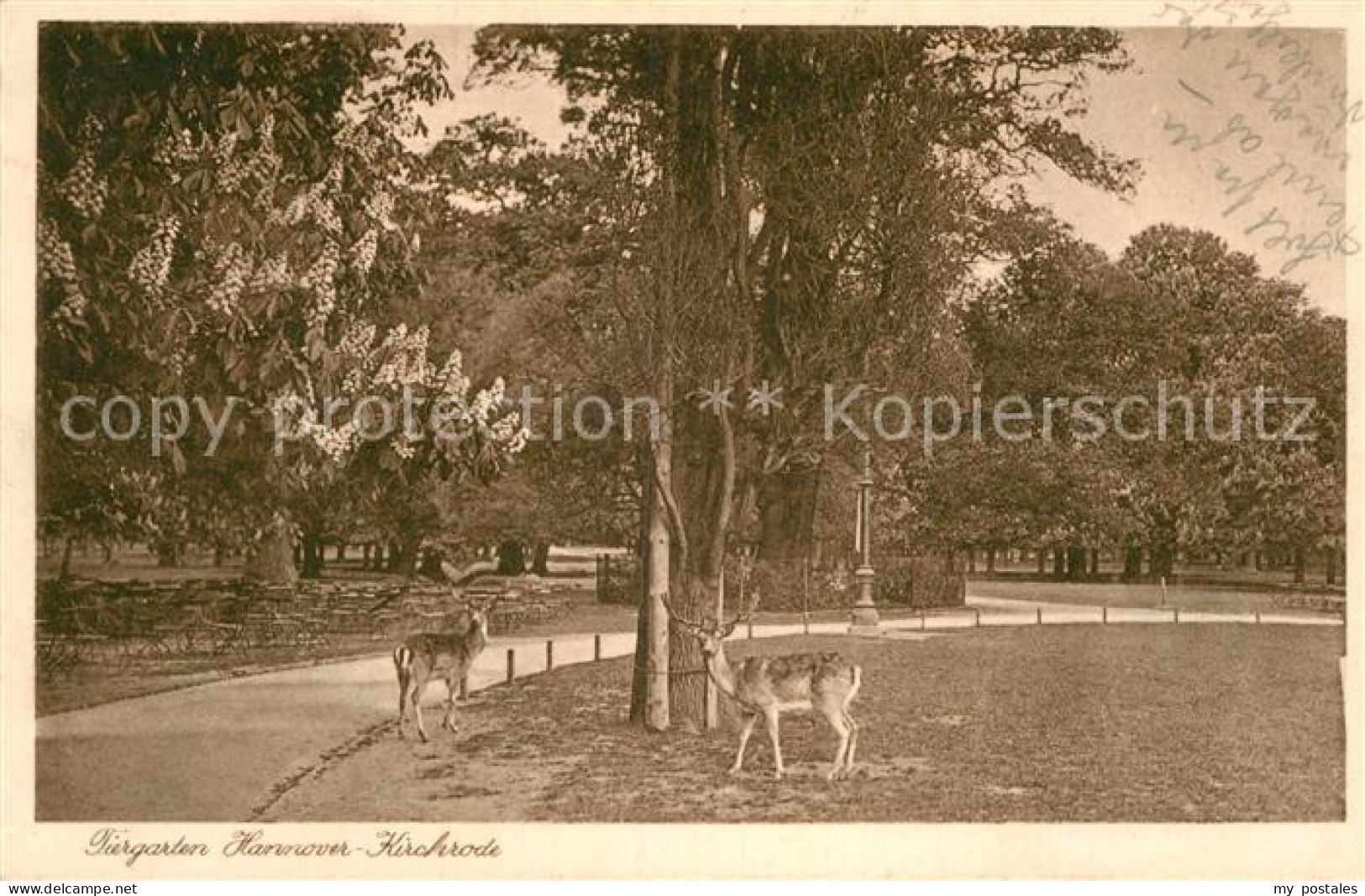 Kirchrode Tiergarten