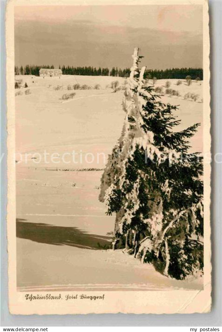 Kirchzarten Hotel Burggraf