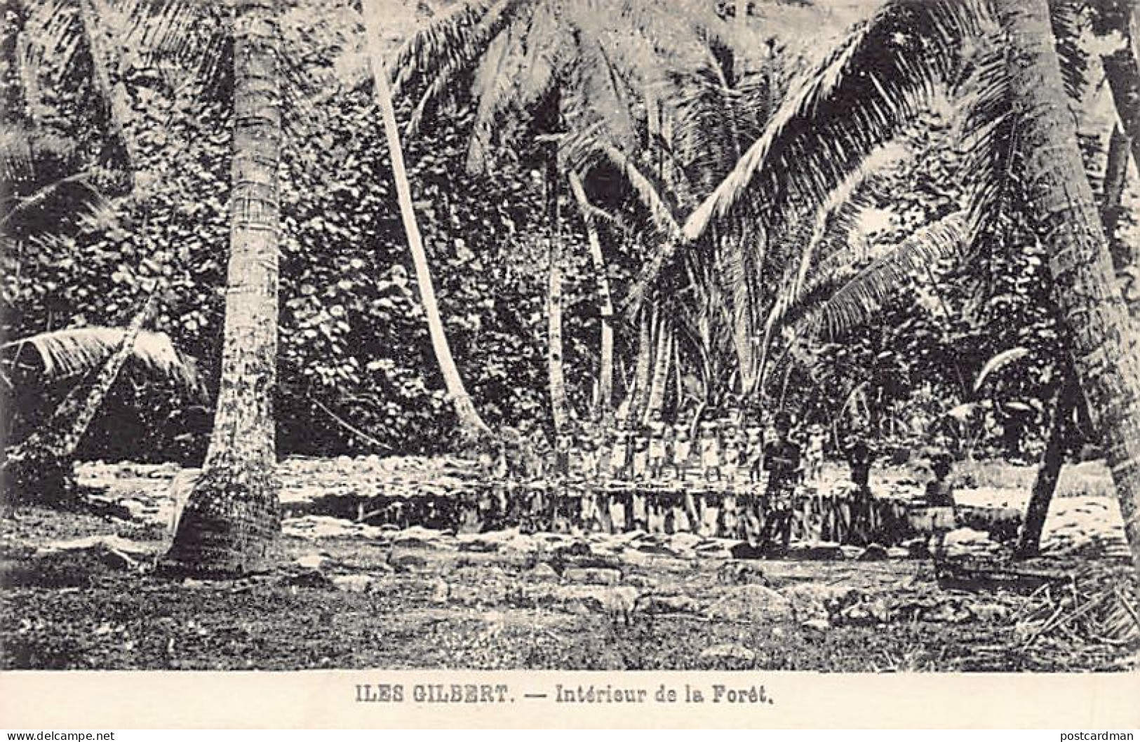 KIRIBATI Gilbert Islands - In the bush - Publ. unknown