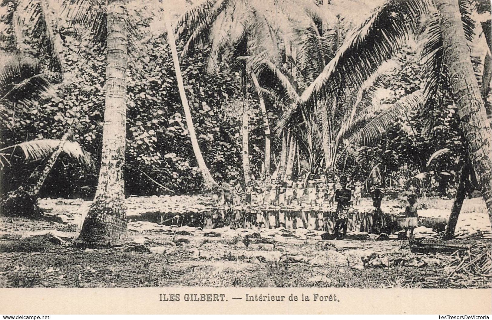 KIRIBATI - Iles Gilbert - intérieur - forêt  palmiers - aborigènes - enfants - animé - Carte Postale Ancienne