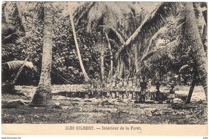 Océanie - Kiribati - Iles Gilbert - Intérieur de la Forêt - Carte Postale vierge