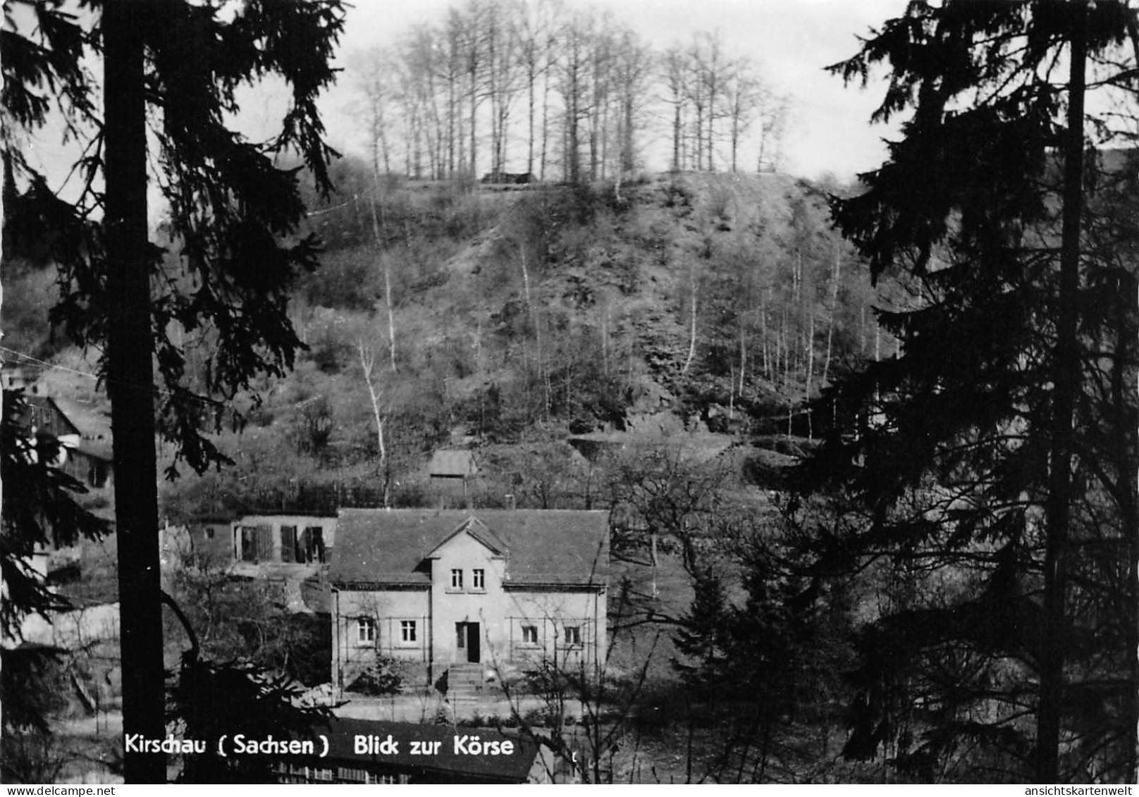 Kirschau (Sachsen) Blick zur Körse gl1963 #192.251