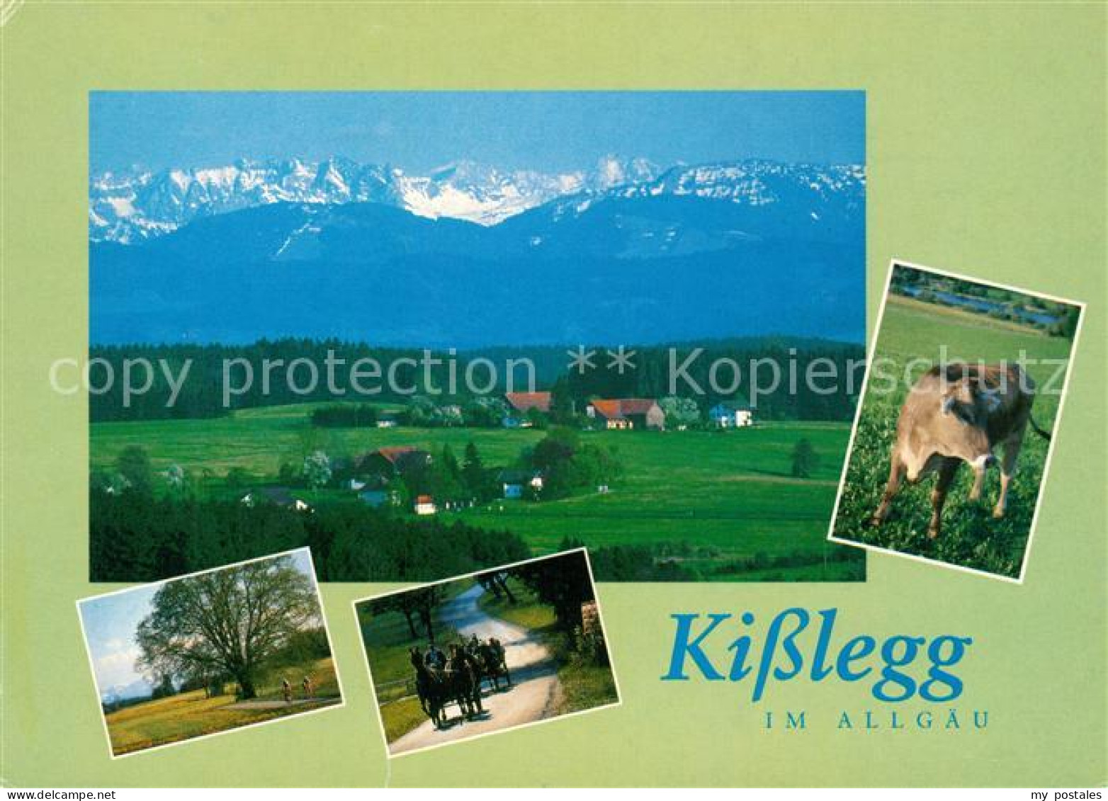 Kisslegg Landschaftspanorama mit Alpenkette Kutschfahrten Kuh