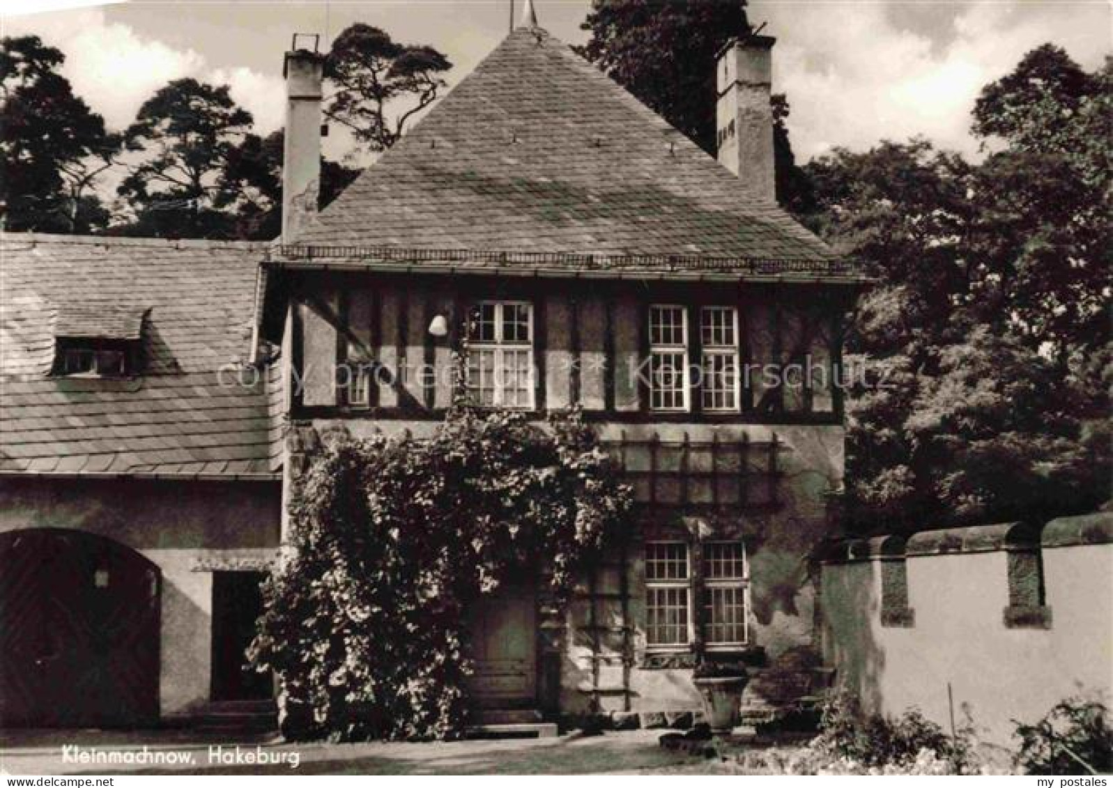 Kleinmachnow Hakeburg Fachwerkhaus Herrenhaus Rankenpflanzen Wald