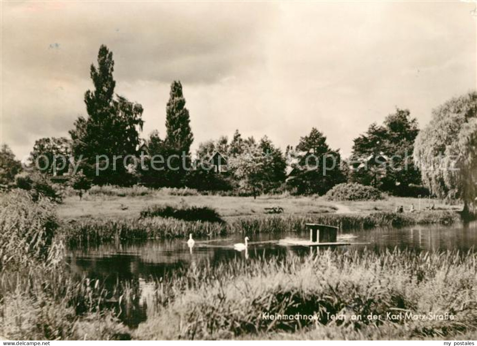 Kleinmachnow Schwanenteich