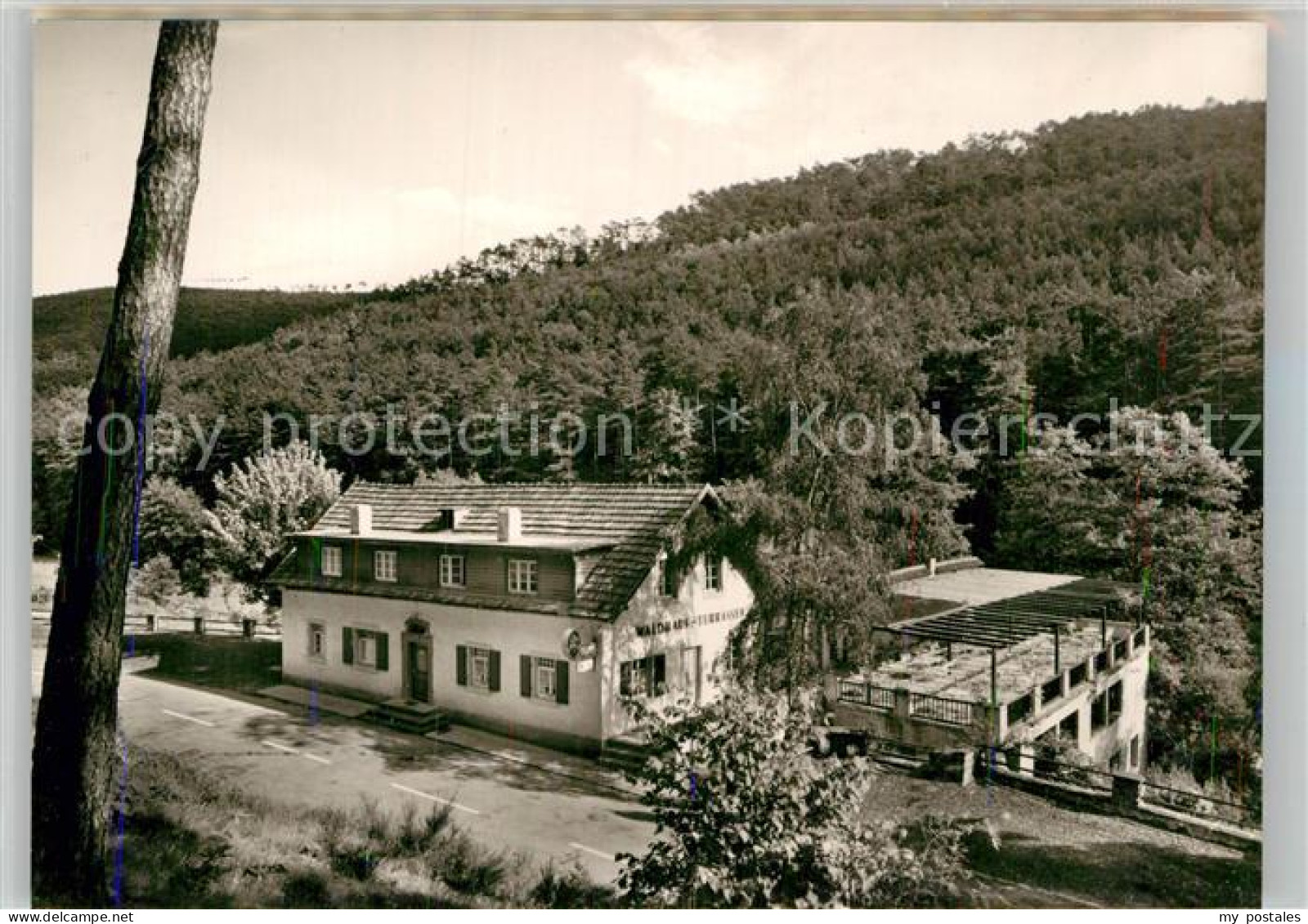 Klingenmuenster Waldhaus Terrassen