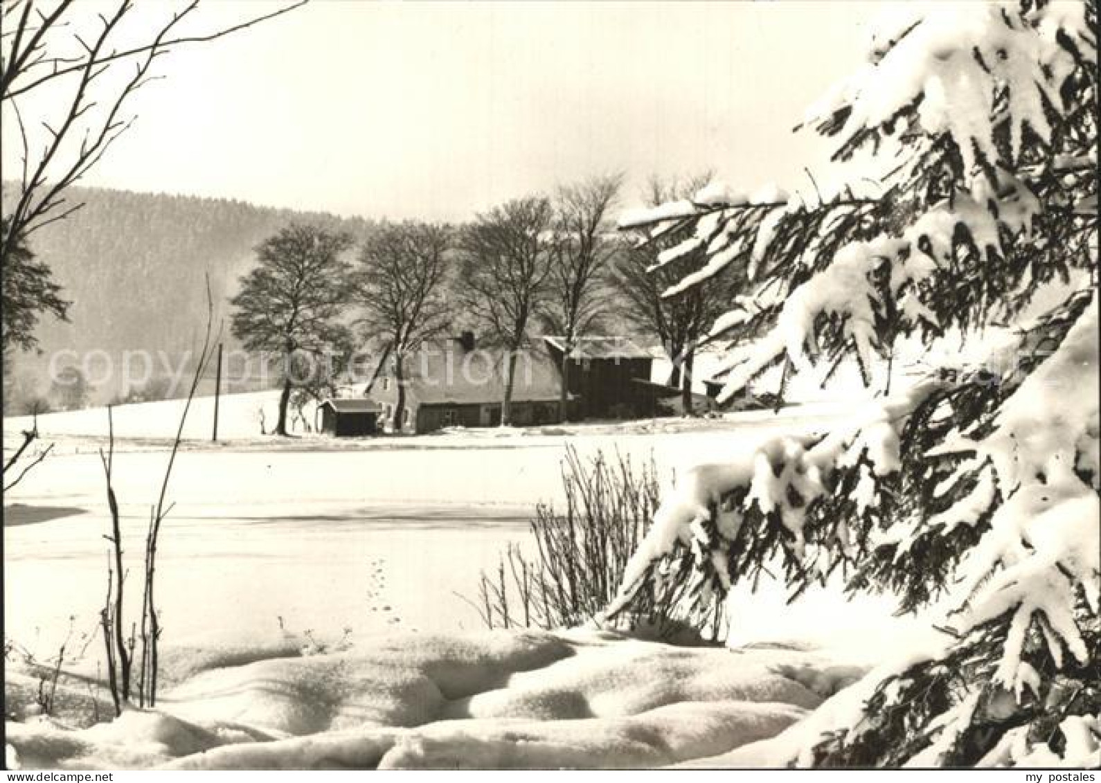 Klingenthal Vogtland Vogtland Winter