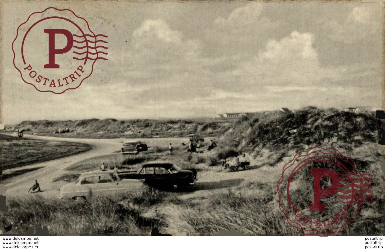 Klitparti, Lakolk, Romo.  // Dinamarca. Denmark