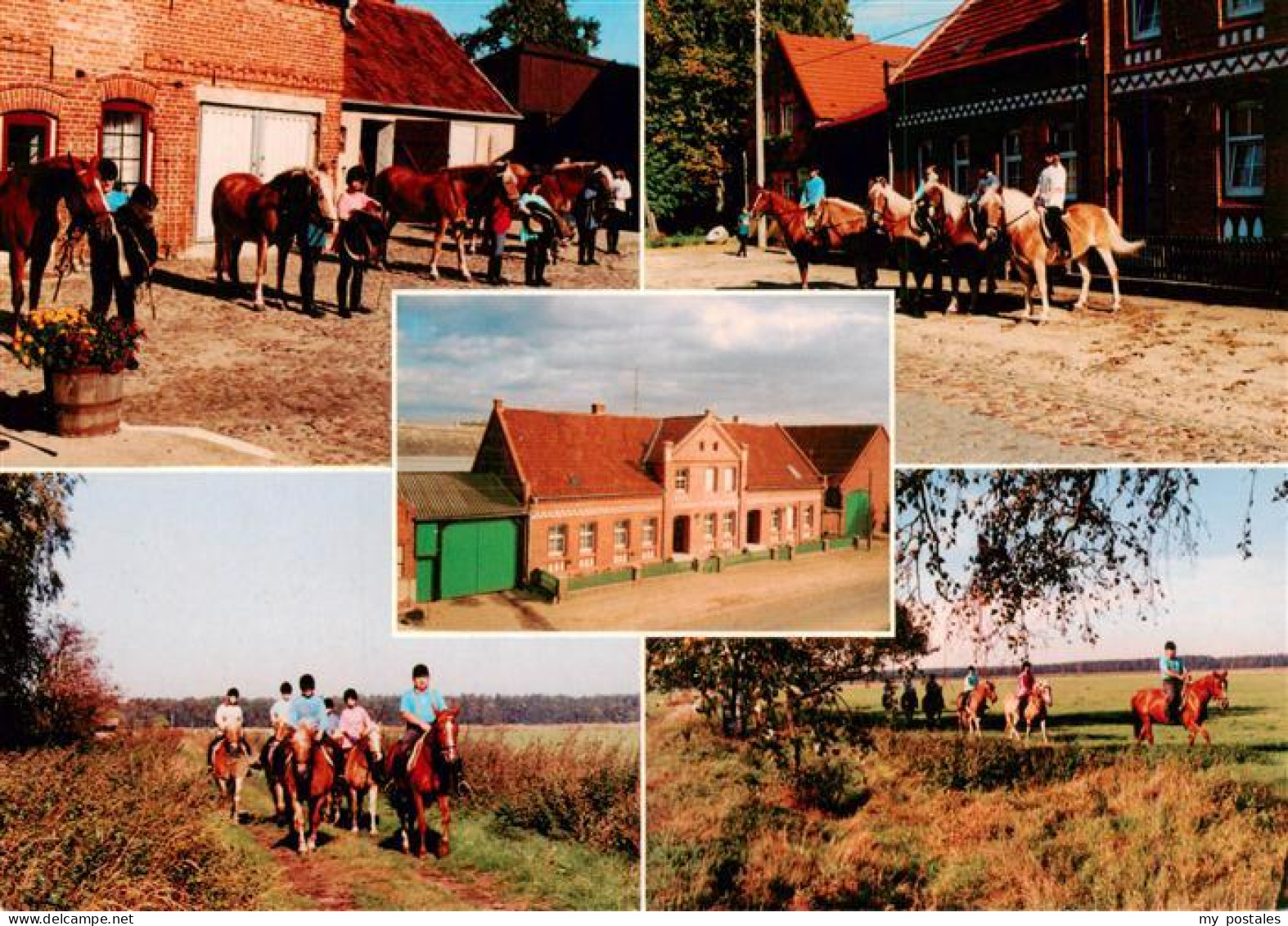 Kloetze Reiter-Bauernhof-Haensel Pferde Ausritt Fachwerkhaus Reiterhof Altmark