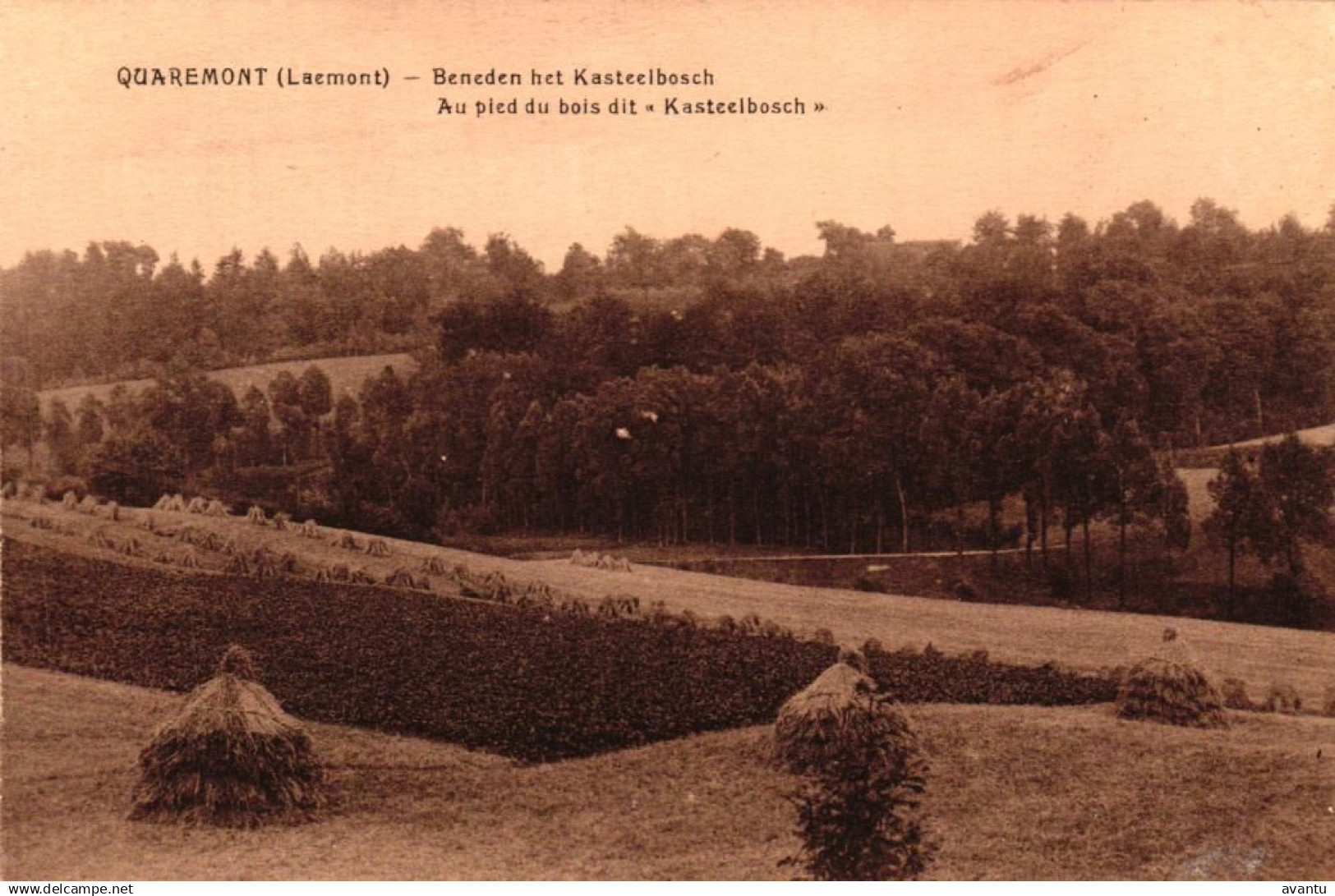 KLUISBERGEN / QUAREMONT