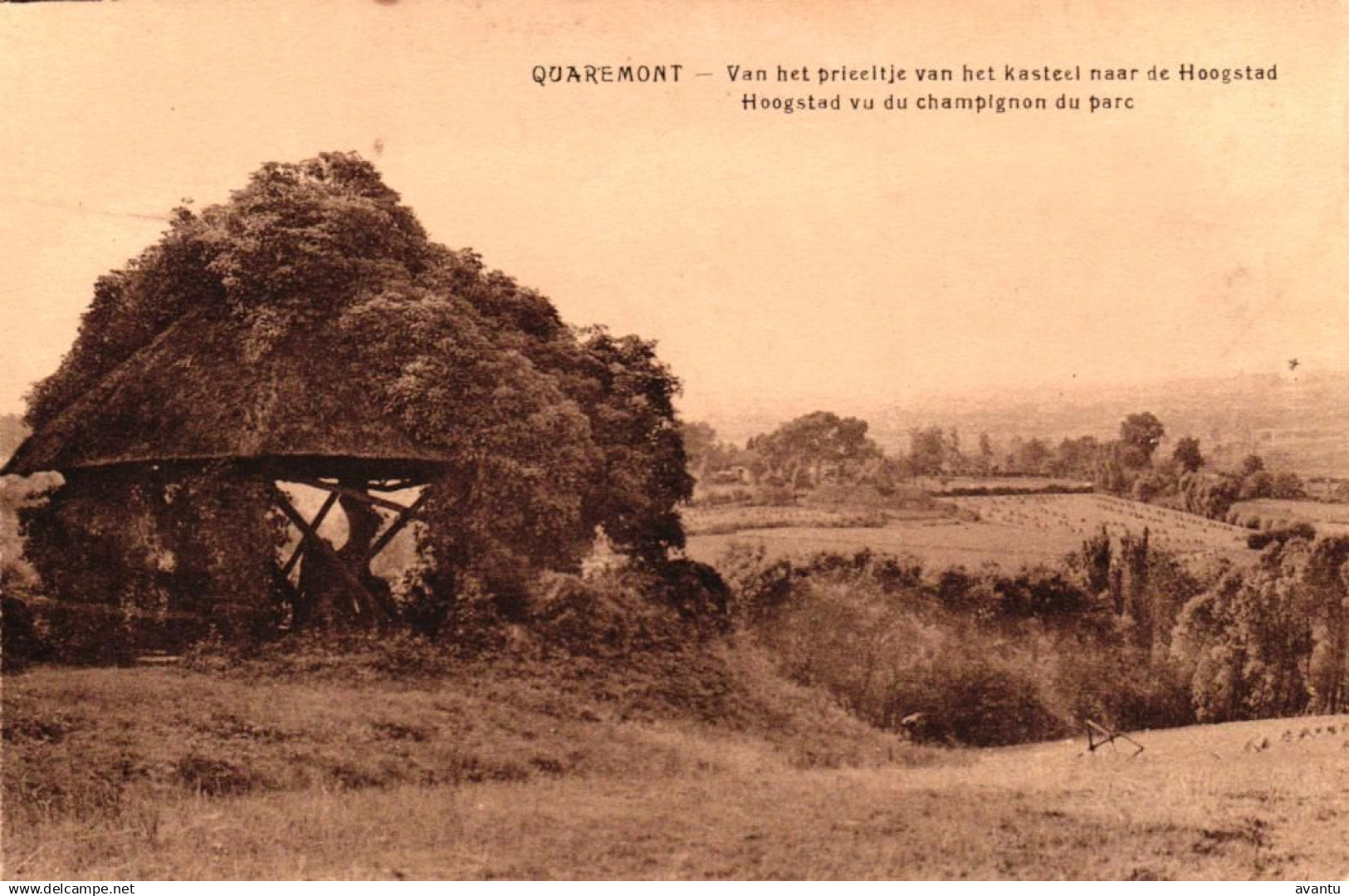 KLUISBERGEN / QUAREMONT
