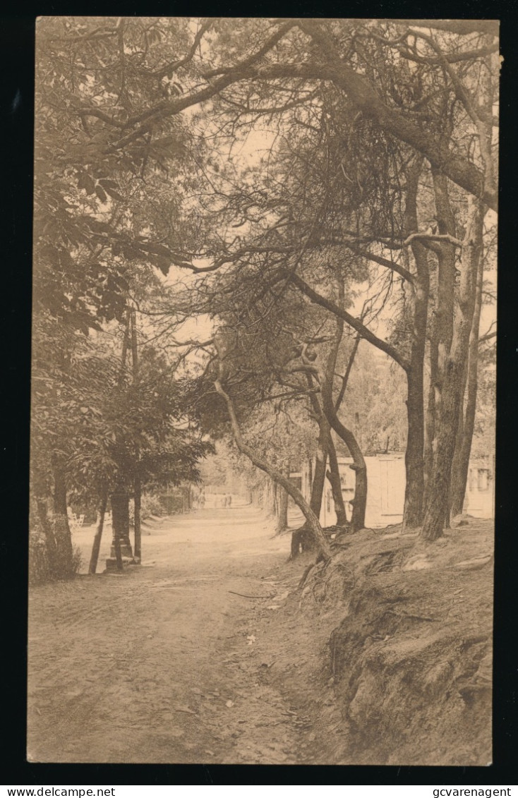 KLUISBERGEN          VERS LA TOUR