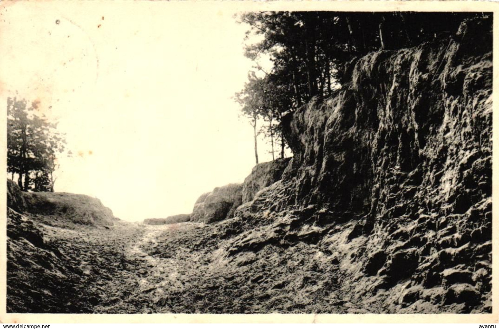 KLUISBERGEN / ZANDPLEIN