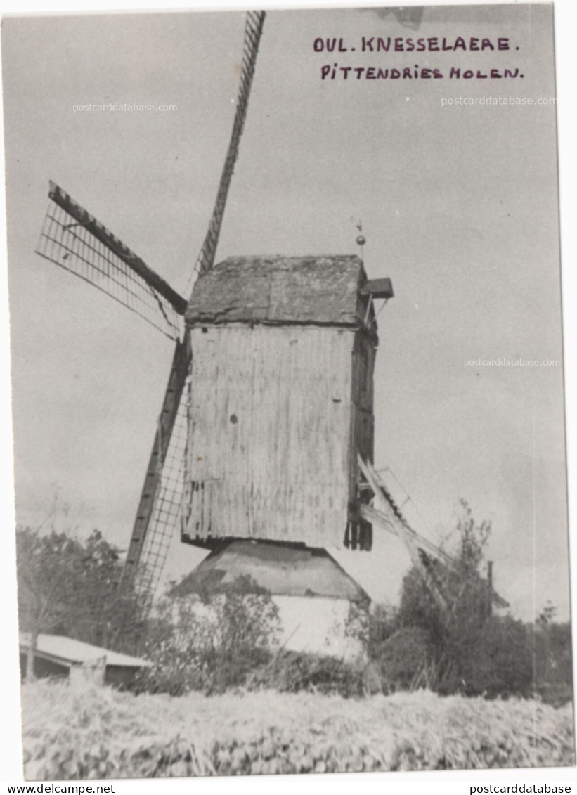 Knesselaere - Pittendries Molen - & windmill