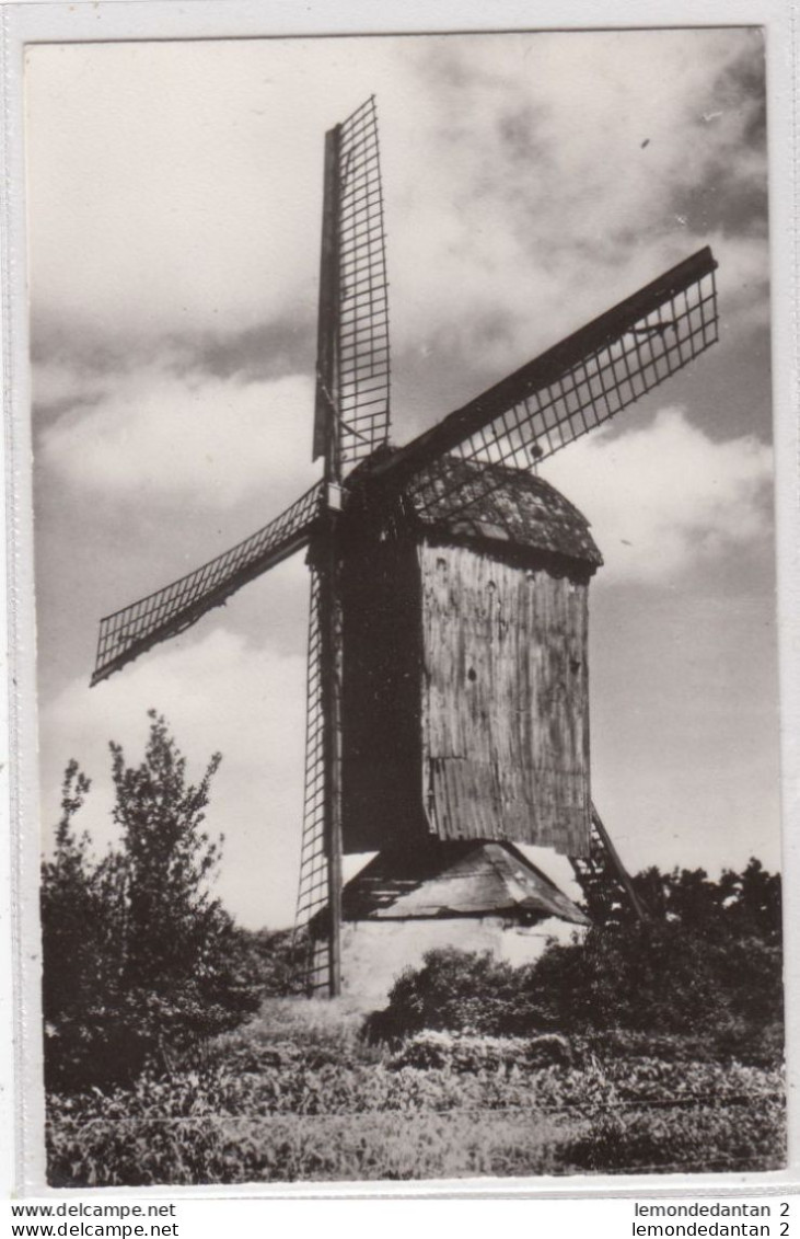 Knesselare. Pieten Dries-Molen. *