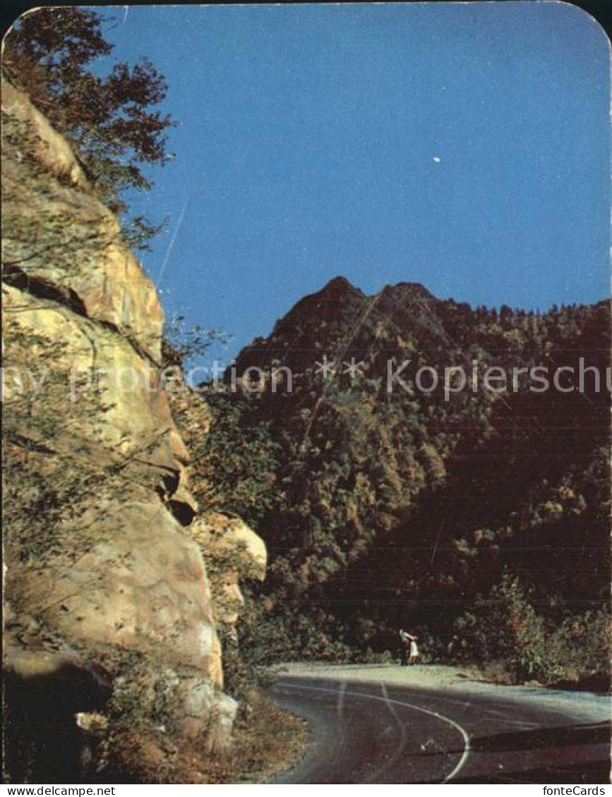 Knoxville Tennessee Rocky Point Turn