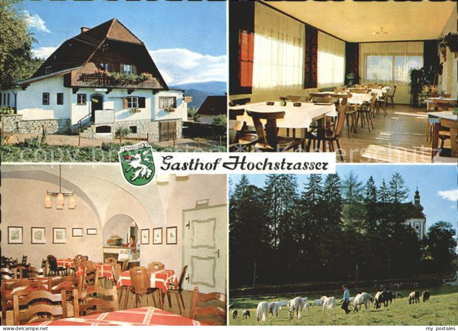 Koeflach Gasthof Hochstrasser Pferd